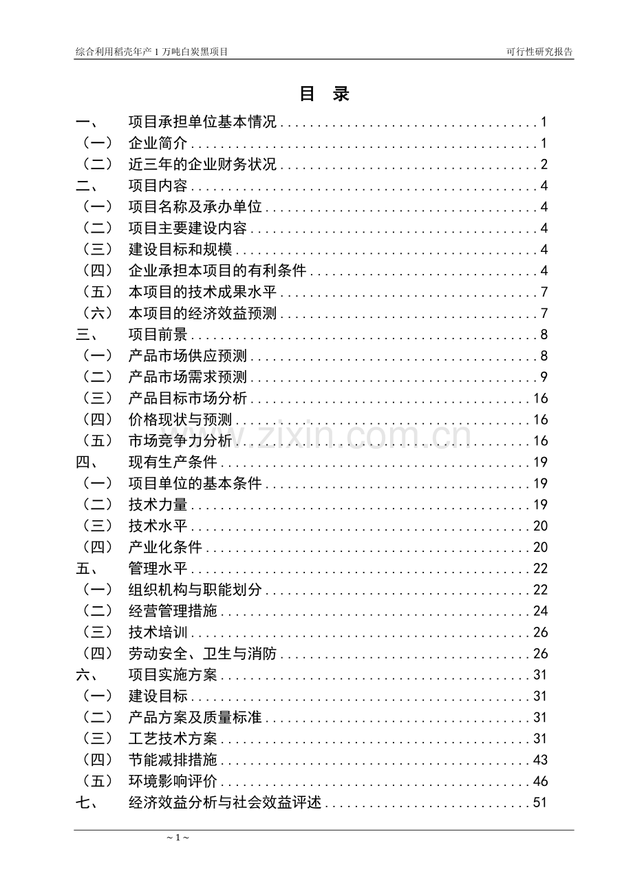 利用稻壳生产白炭黑项目投资计划书.doc_第2页