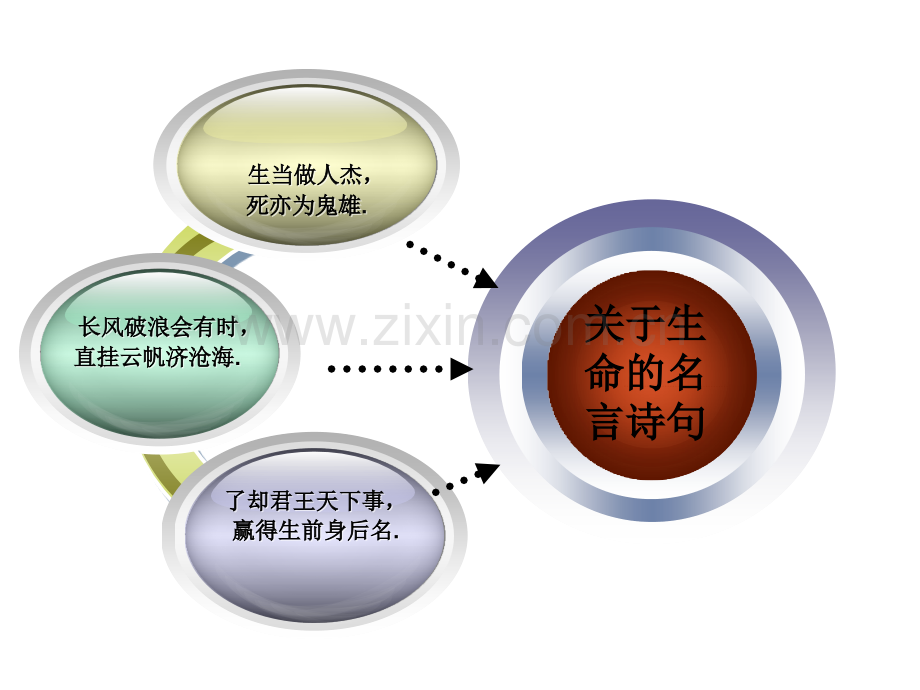 谈生命1概述.pptx_第2页