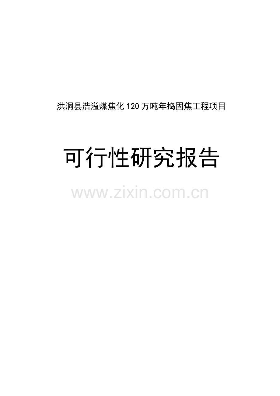 洪洞县浩溢煤焦化120万吨年捣固焦工程项目可行性研究报告书.doc_第1页