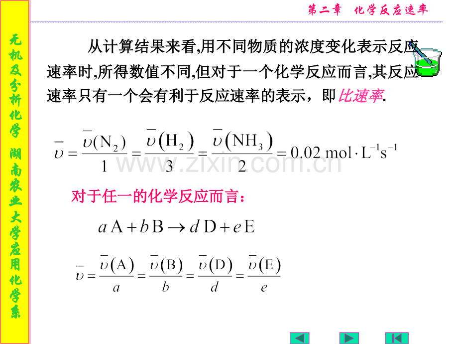 第二章-化学反应速率.pptx_第3页