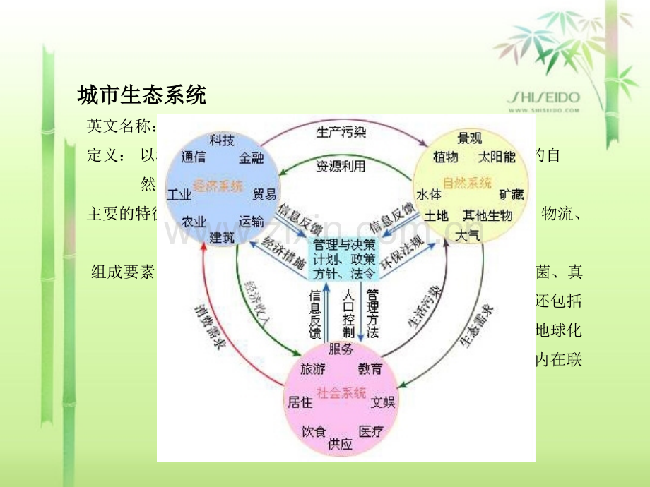 生态城市建设.pptx_第1页