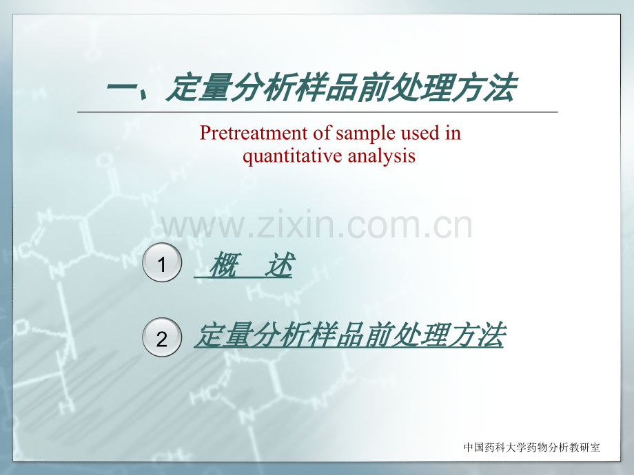 第四章药物定量分析与分析方法验证.pptx_第2页