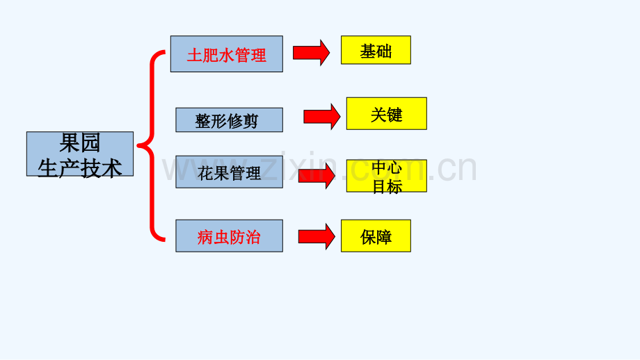 果树该如何施肥修剪及果园管理.pptx_第2页