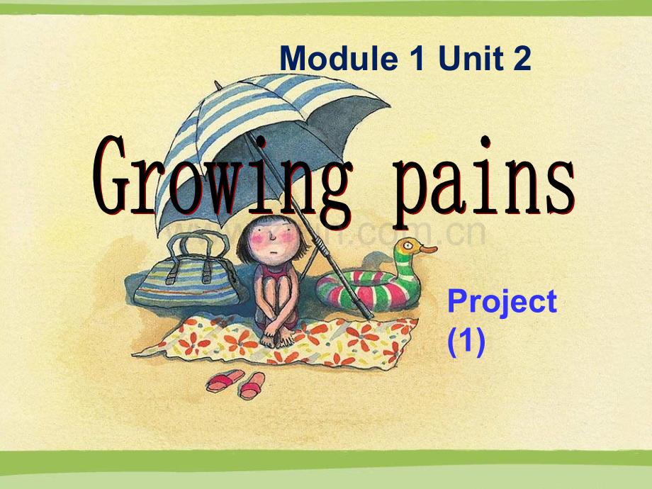 牛津高中英语模块一--Unit2growingpains--project.pptx_第1页