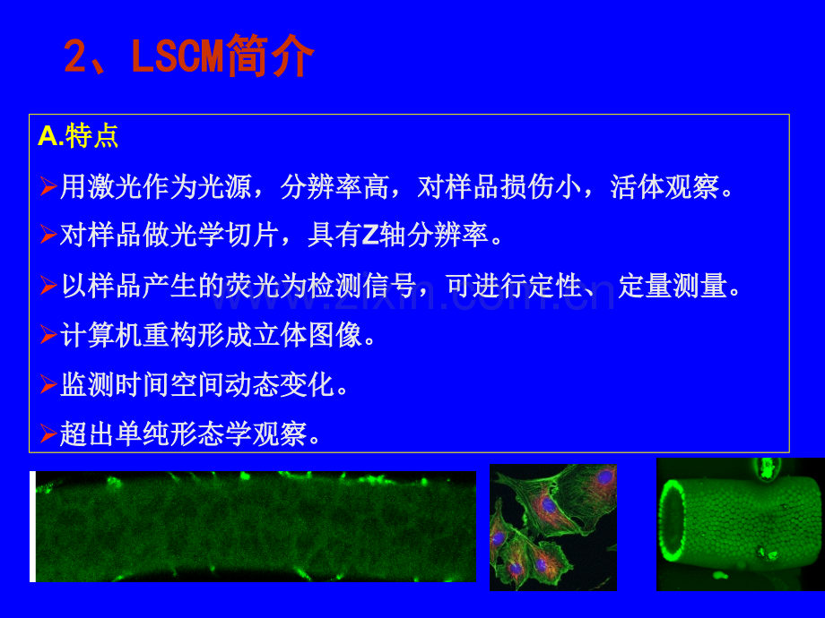 激光扫描共聚焦显微镜在生命科学中应用.pptx_第3页