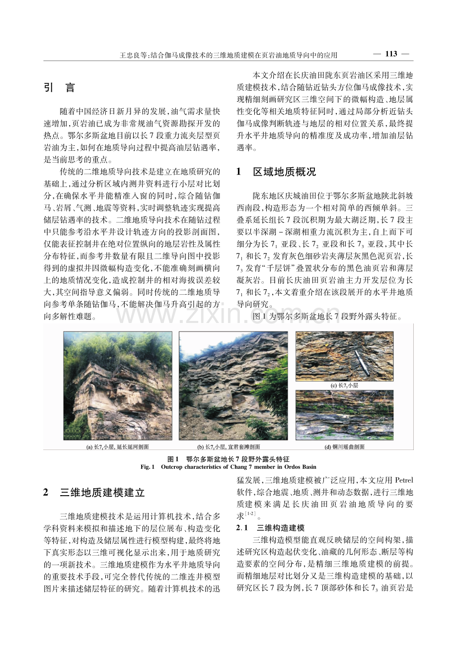 结合伽马成像技术的三维地质建模在页岩油地质导向中的应用.pdf_第2页