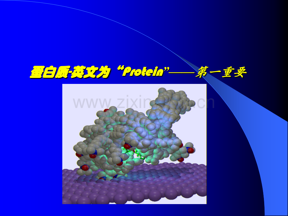 河南工业大学生物化学考研绪论蛋白质的构件氨基酸.pptx_第2页