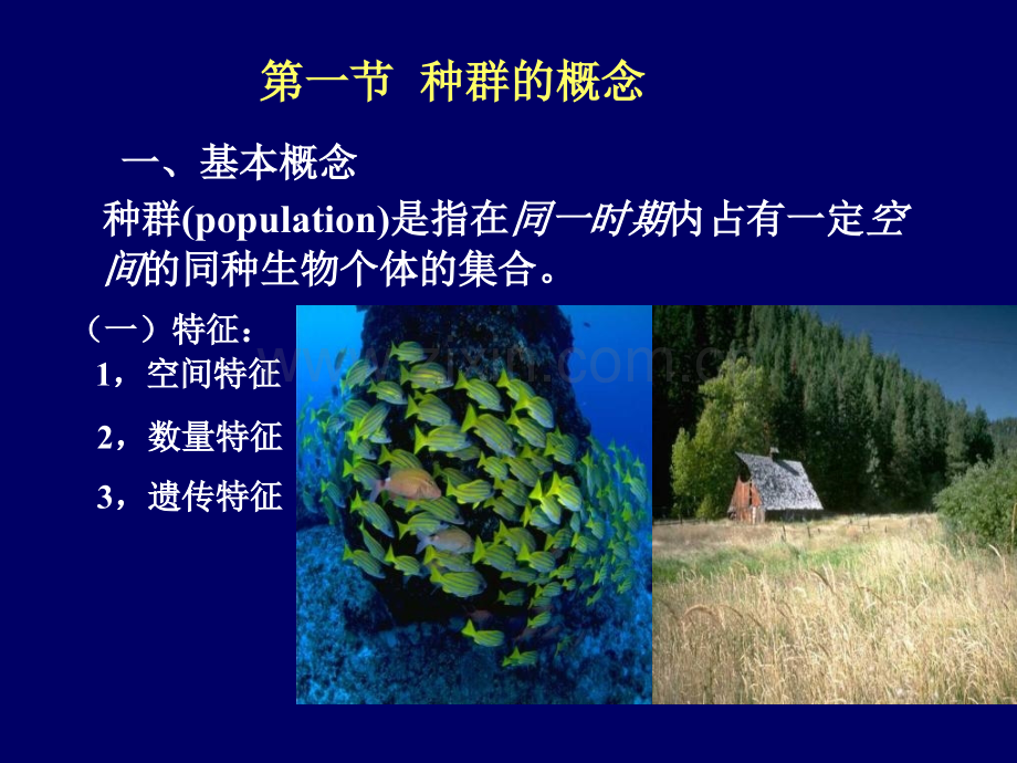 种群生态学1.pptx_第2页