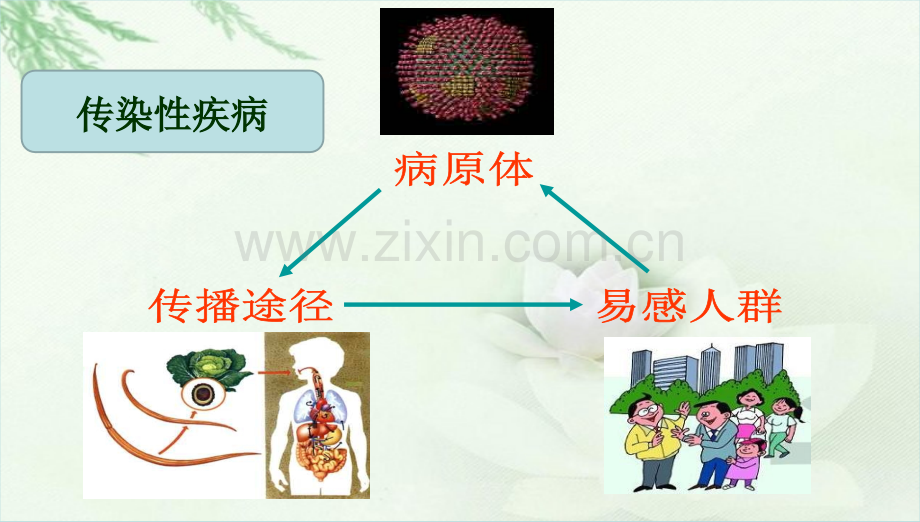 班会主题班会常见传染病的预防.pptx_第3页