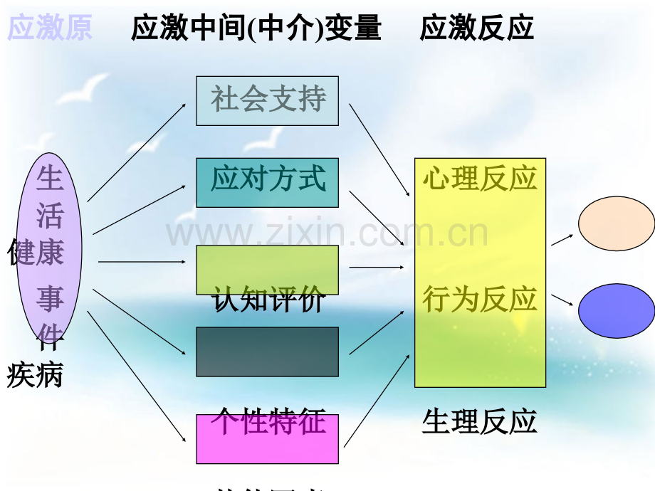 社会支持量表.pptx_第3页