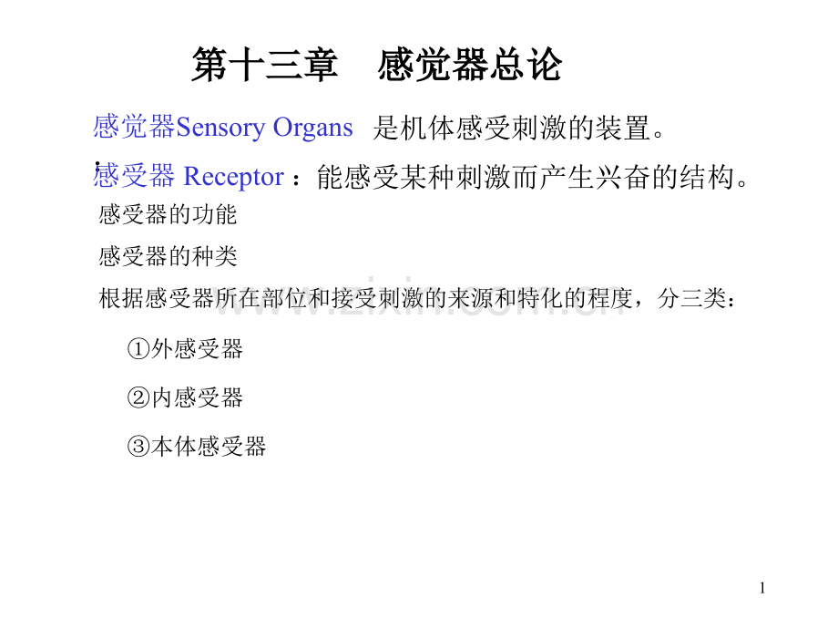 系统解剖学13视器.pptx_第1页