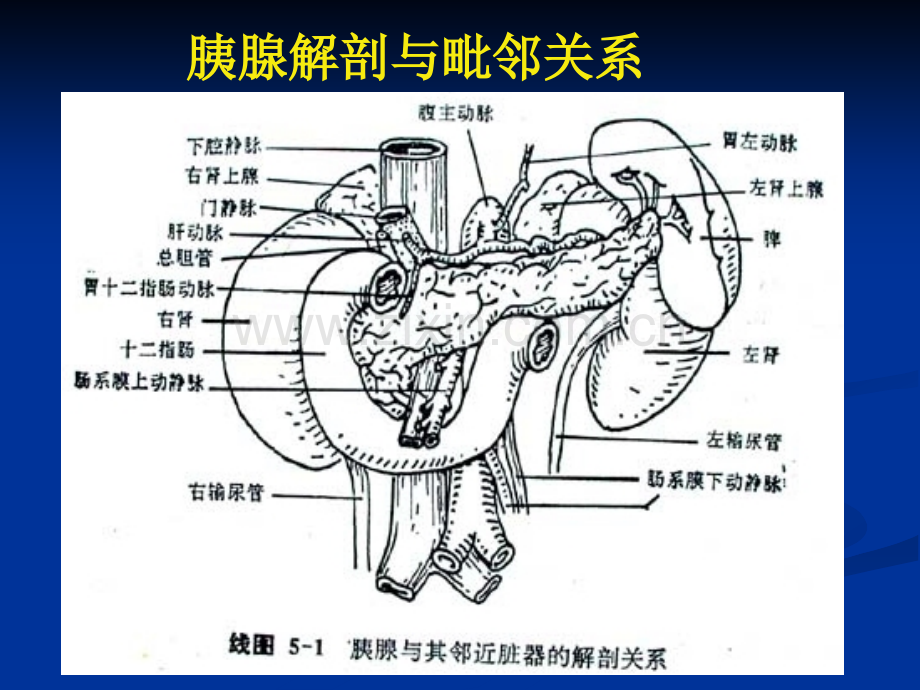 腹部病变CT诊断4.pptx_第2页