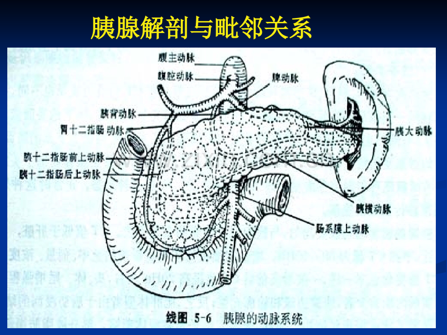 腹部病变CT诊断4.pptx_第3页