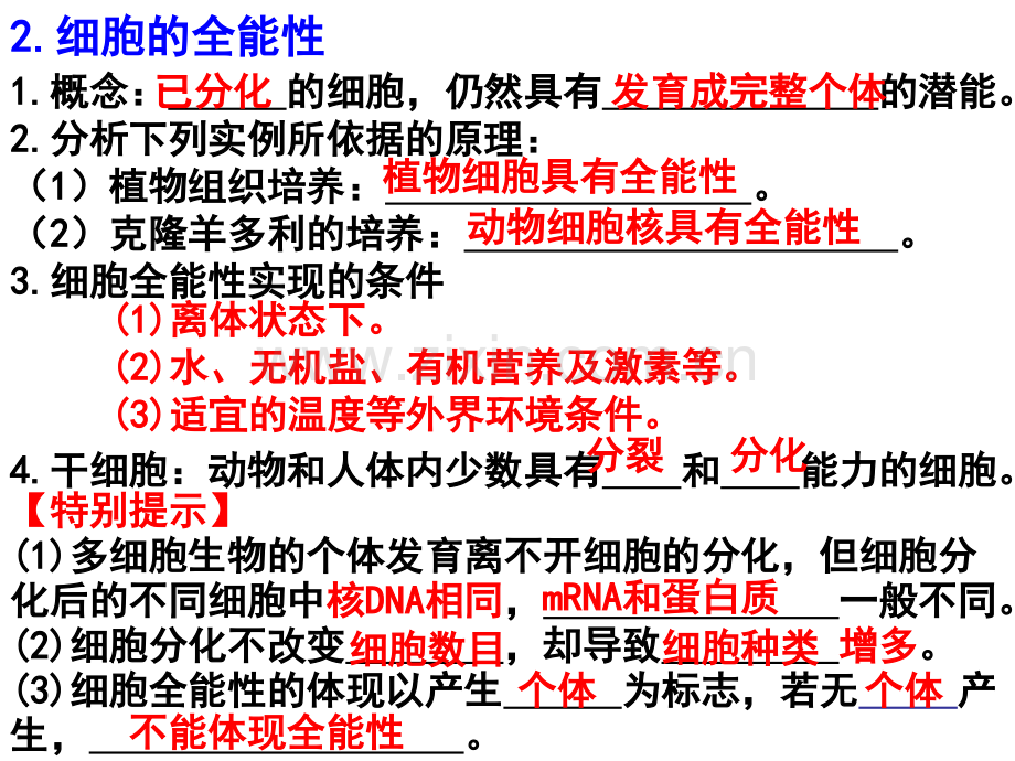 细胞的分化衰老凋亡癌变.pptx_第3页