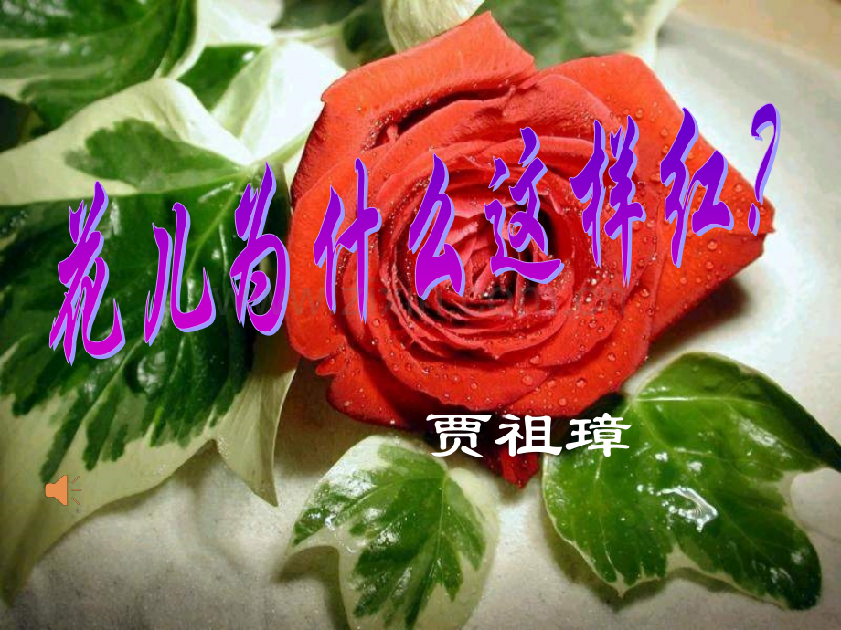 花儿为什么这样红ppt公开课.pptx_第1页