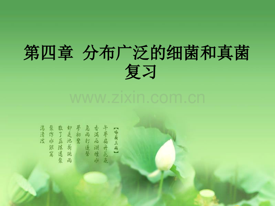 细菌和真菌复习001.pptx_第1页