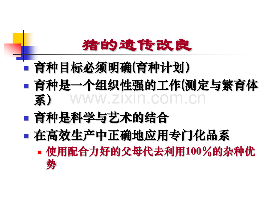 猪配套系选育及地方猪种资源的开发利用.pptx_第1页