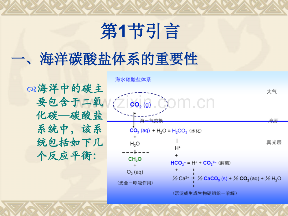 海水中二氧化碳碳酸盐体系.pptx_第2页