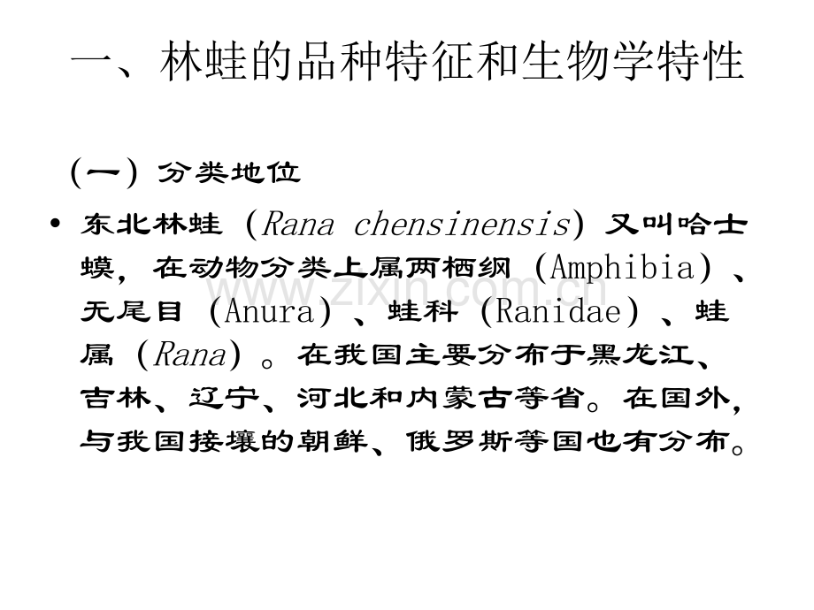 经济动物学林蛙.pptx_第2页