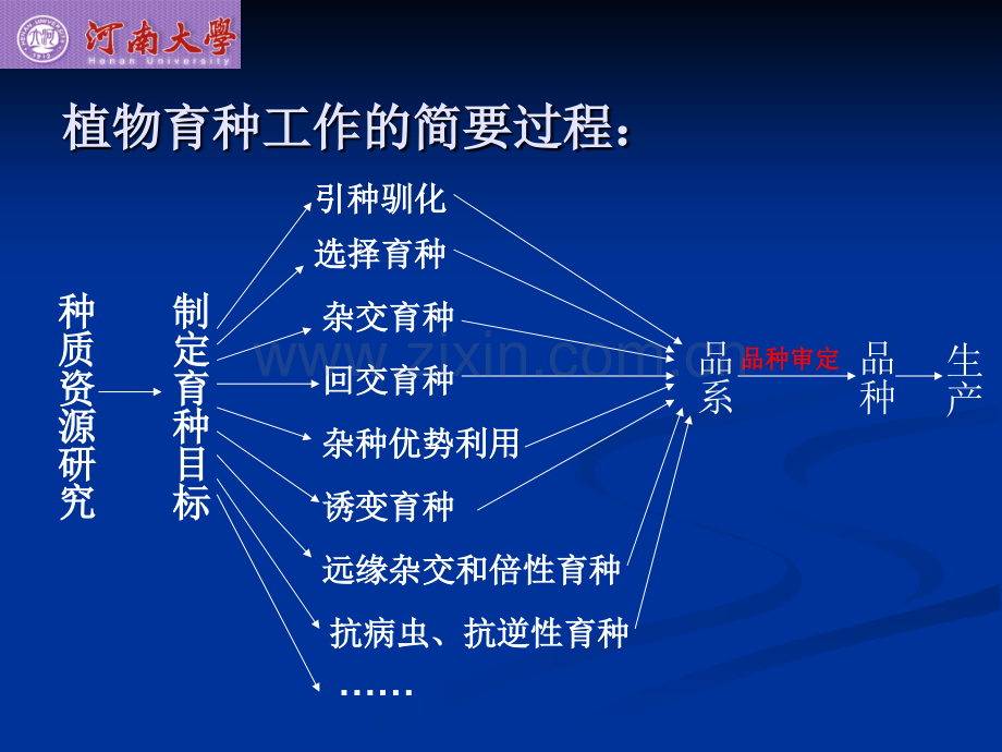 植物育种学的简要介绍.pptx_第2页