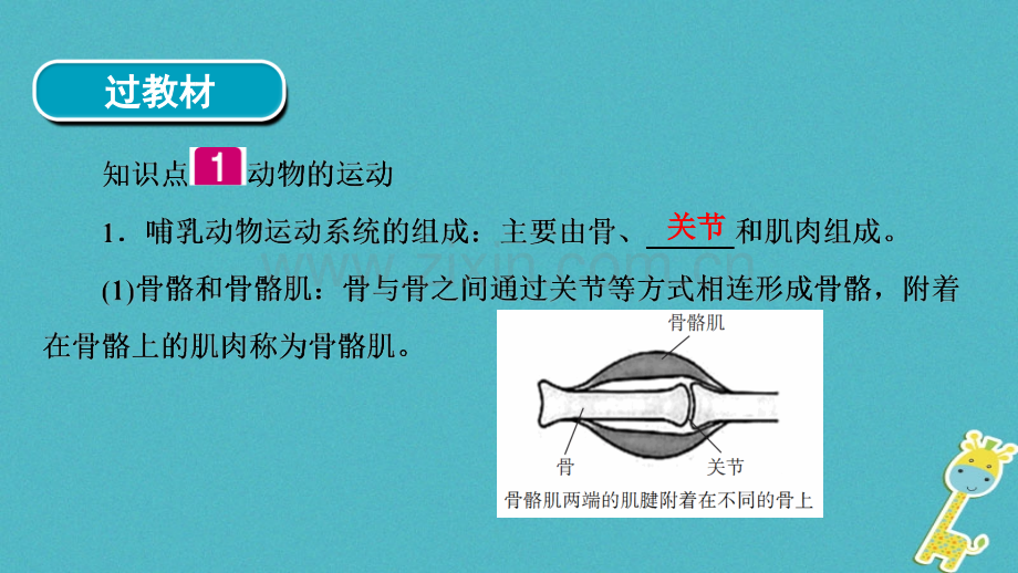 河南省中考生物总复习动物的运动和行为动物在生物圈中的作用.pptx_第3页