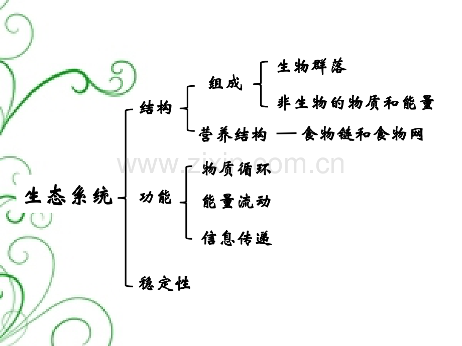 生态系统.pptx_第1页