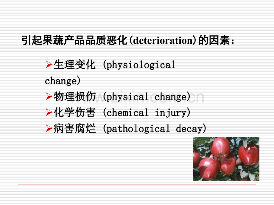 果蔬产品采后采后生理失调.pptx_第2页