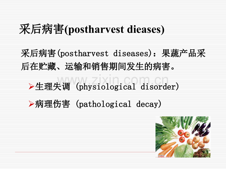 果蔬产品采后采后生理失调.pptx_第3页