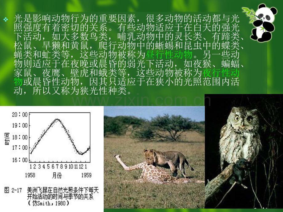 苏教版小学科学五年级上册昼夜对动植物的影响.pptx_第2页