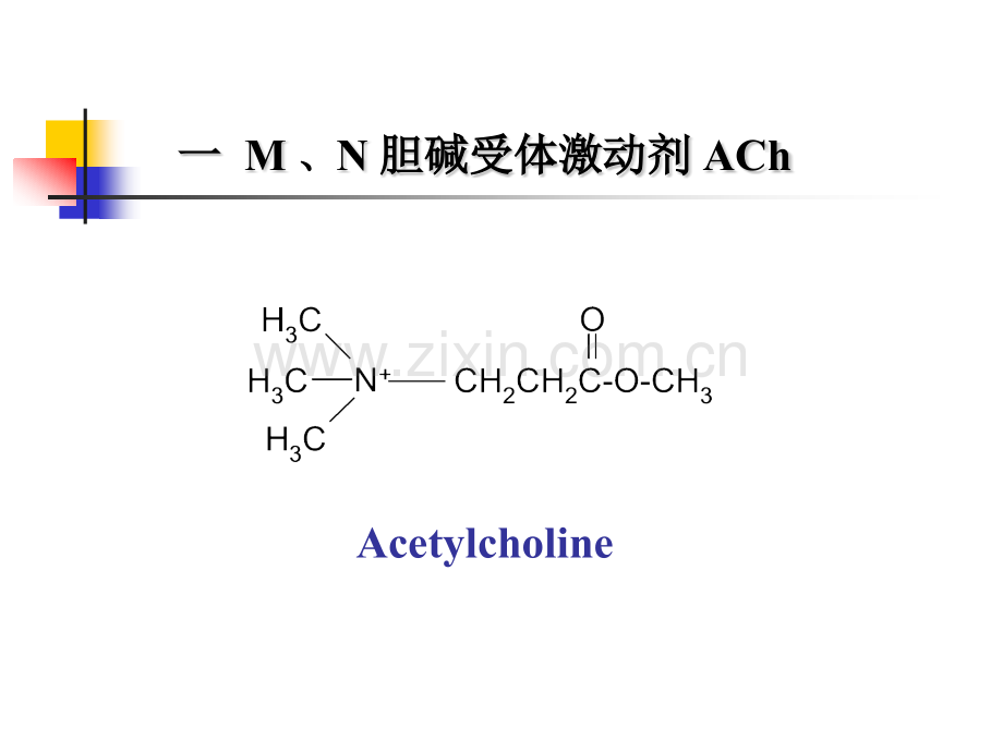 第6篇胆碱受体激动药和作用于胆碱酯酶药.pptx_第3页