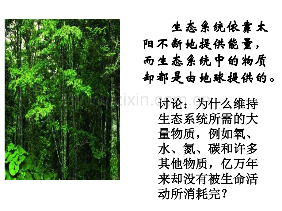 生态系统的物质循环信息传递.pptx_第2页