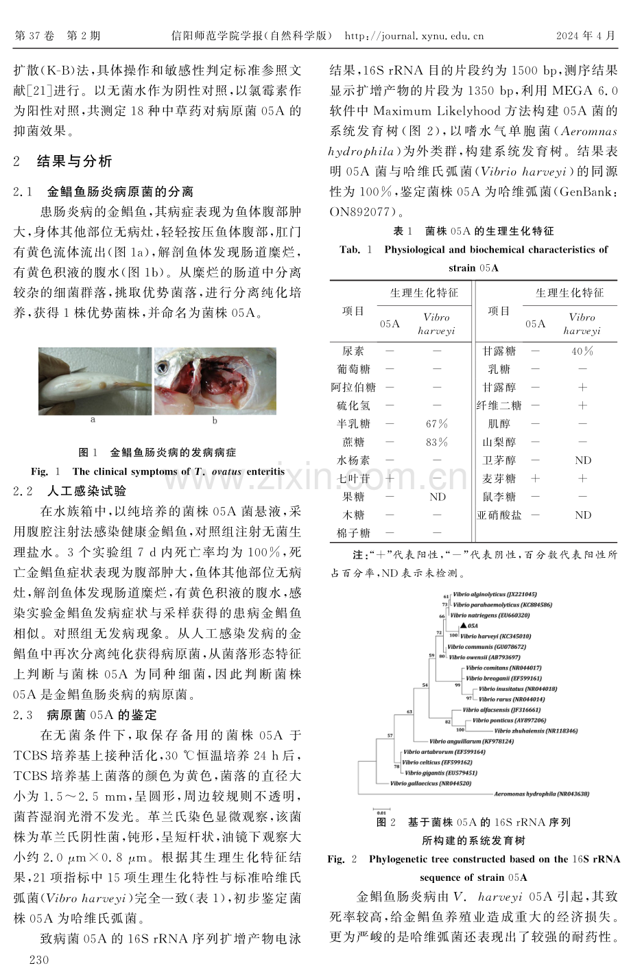 金鲳鱼肠炎病的病原菌分离鉴定及其中草药防治.pdf_第3页