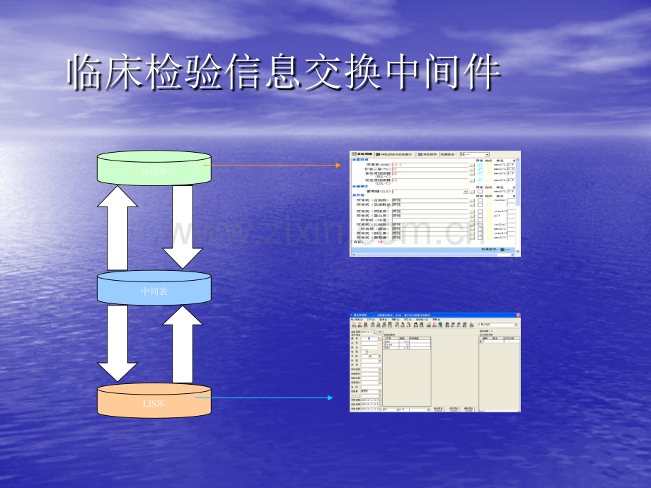 检验信息管理系统.pptx_第2页