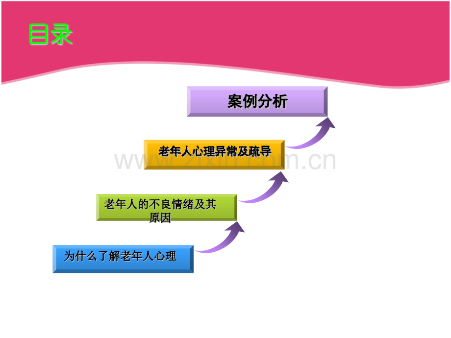 老年人心理护理培训.pptx_第2页