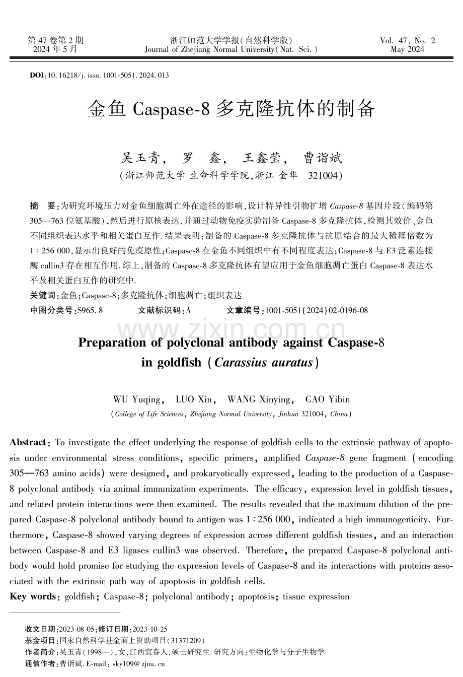 金鱼Caspase-8多克隆抗体的制备.pdf_第1页