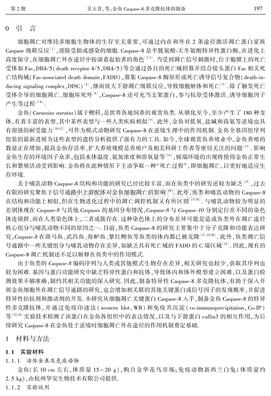 金鱼Caspase-8多克隆抗体的制备.pdf_第2页