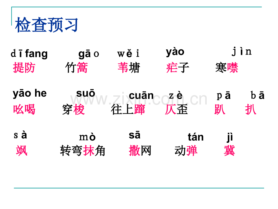 芦花荡—初中语文.pptx_第3页