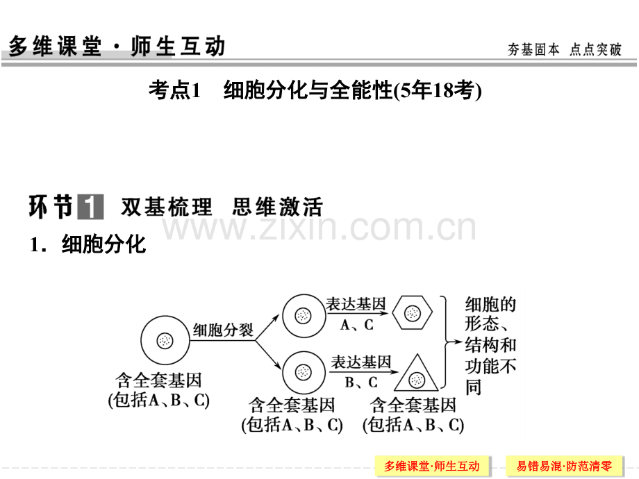 细胞的分化衰老和凋亡及癌变高中生物一轮复习.pptx_第2页