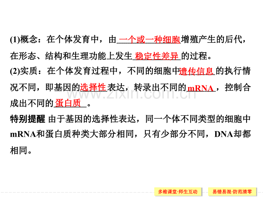 细胞的分化衰老和凋亡及癌变高中生物一轮复习.pptx_第3页