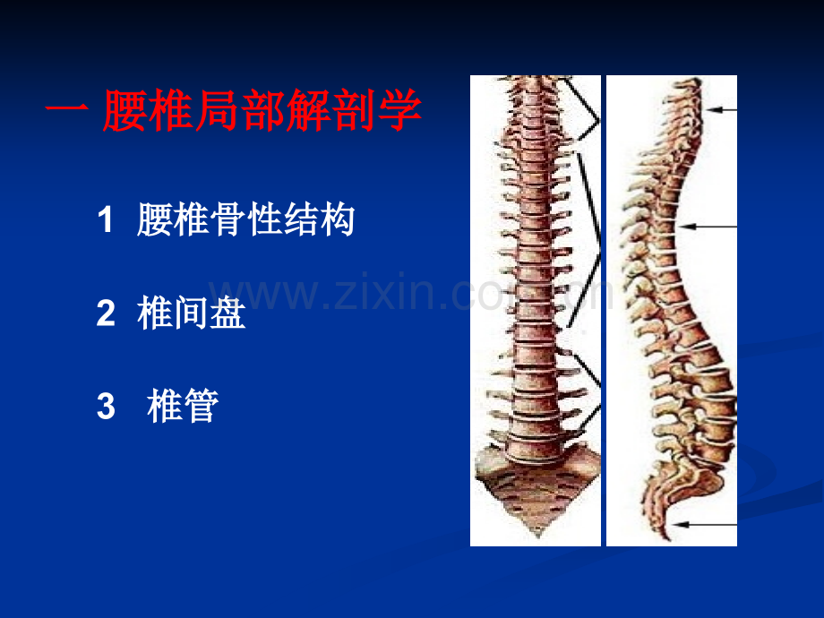 腰椎结核的CT诊断与鉴别.pptx_第2页