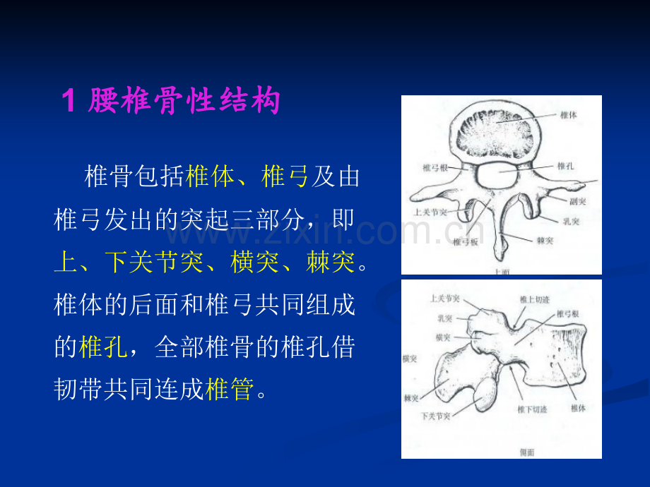 腰椎结核的CT诊断与鉴别.pptx_第3页