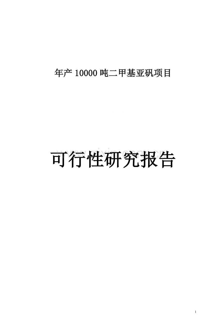 年产10000吨二甲基亚矾项目申请建设可行性研究分析报告.doc_第1页