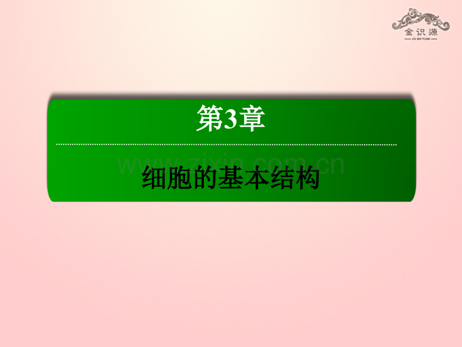 秋高中生物细胞器系统内的分工合作新人教版必修.pptx_第1页