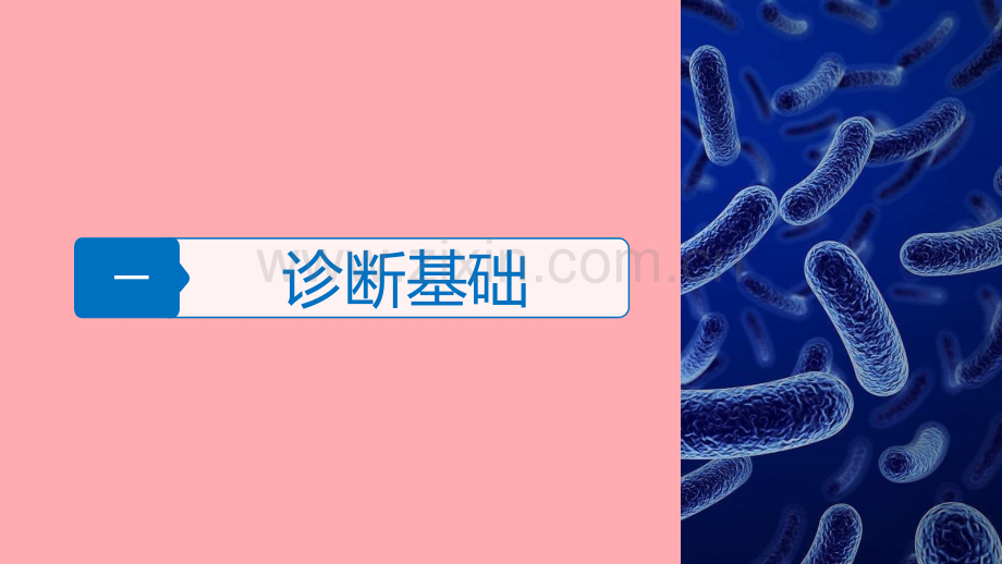 浙江选考高考生物二轮专题复习专题一细胞的分子组成和基本结构考点细胞的基本结构讲练新人教版.pptx_第3页