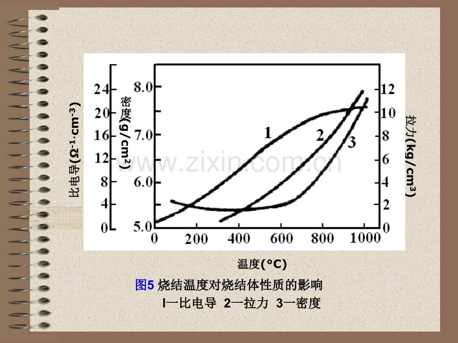 烧结过程及机理.pptx_第2页