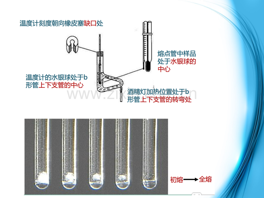 第二章-新药开发的质量标准概论.pptx_第3页