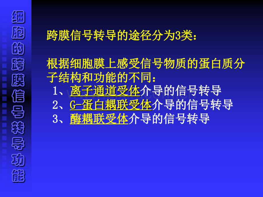 细胞的基本功能13.pptx_第2页