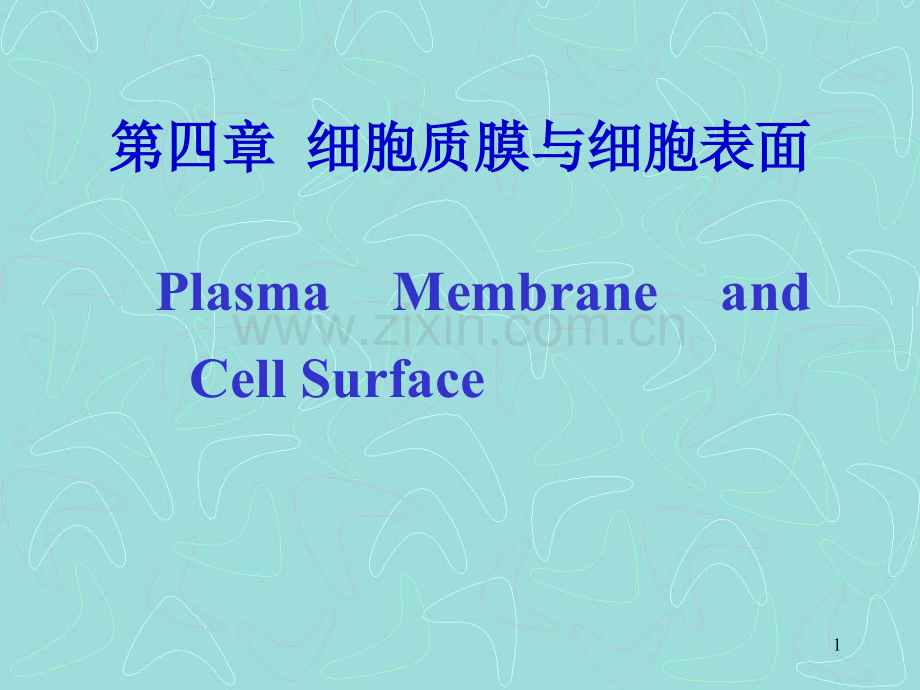 细胞生物学：第4章-1细胞膜与表面.pptx_第1页