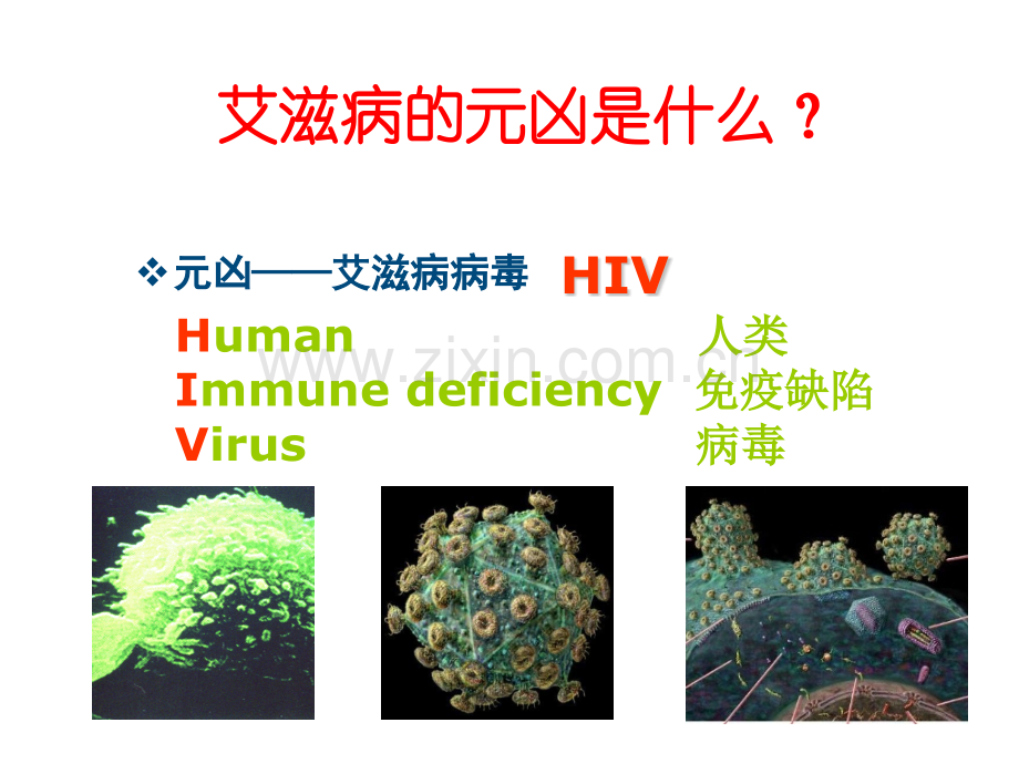 艾滋病宣讲.pptx_第3页