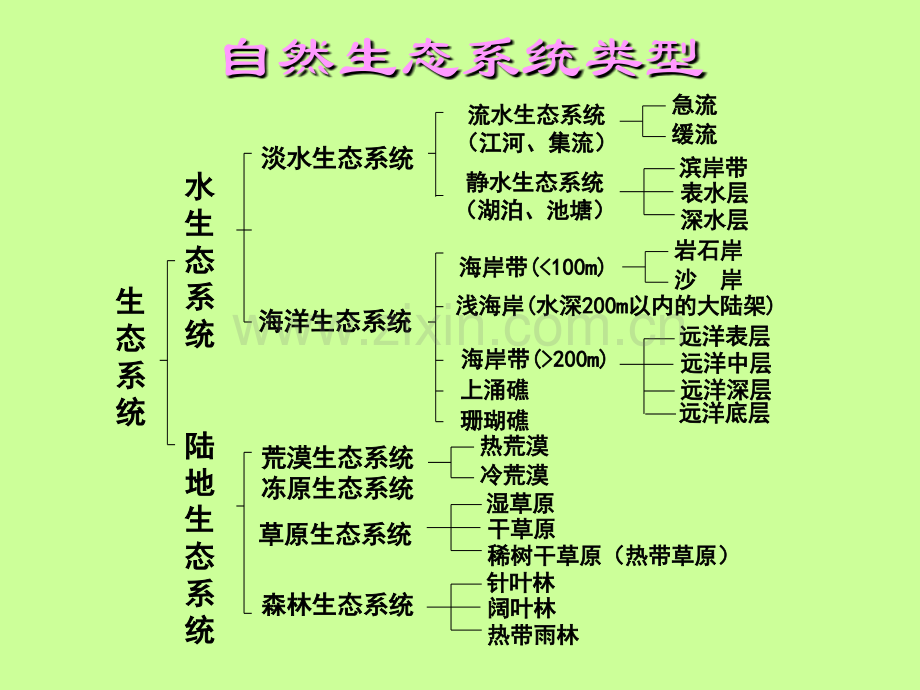 生态环境影响评价课件.pptx_第3页